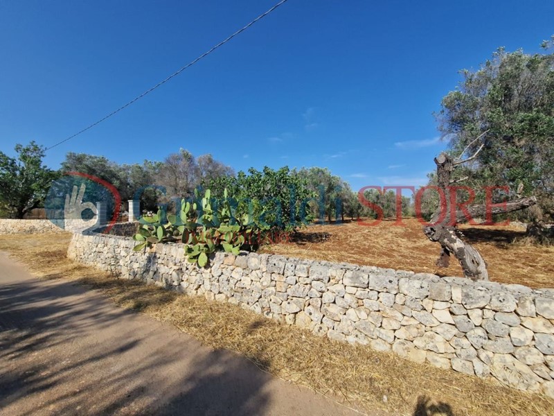 Terreno agricolo in Vendita a Latiano, 55'000€, 10000 m²