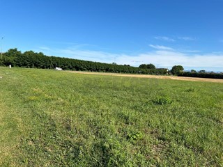 Terreno edificabile in Vendita a Santa Maria la Longa, 49'000€, 1000 m²