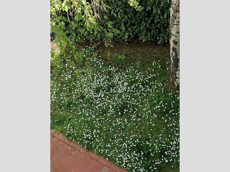 Casa Indipendente in Vendita a Montespertoli, zona San Quirico In Collina, 430'000€, 200 m², arredato