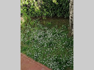 Casa Indipendente in Vendita a Montespertoli, zona San Quirico In Collina, 430'000€, 200 m², arredato