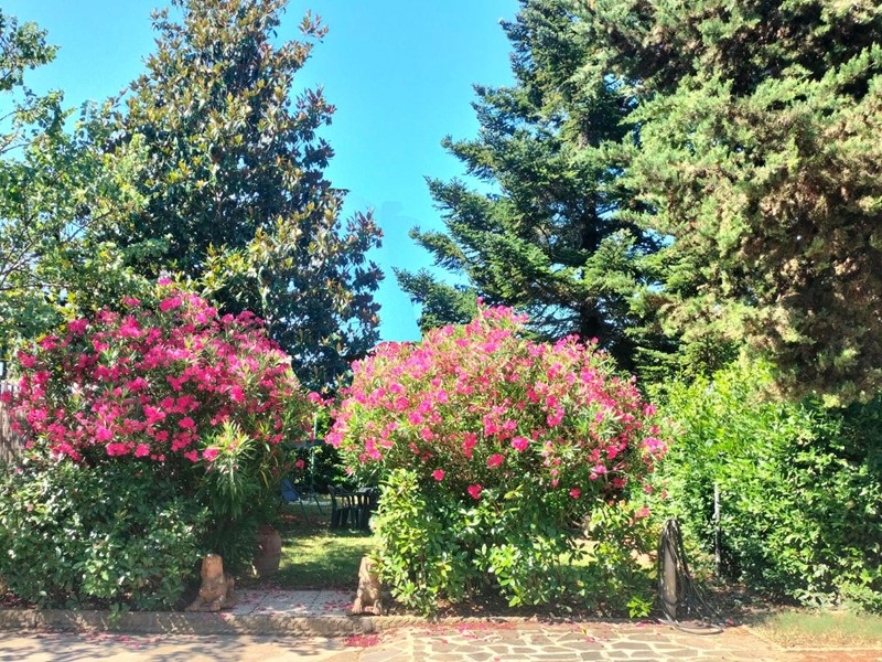 Monolocale in Vendita a Lastra a Signa, zona Ginestra Fiorentina, 150'000€, 35 m²