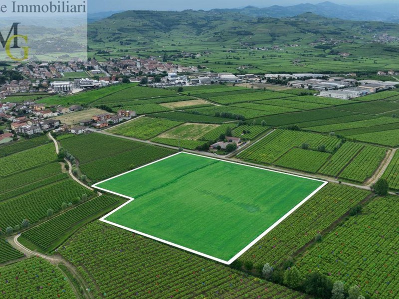 Terreno agricolo in Vendita a Monteforte d'Alpone, 400'000€, 36040 m²