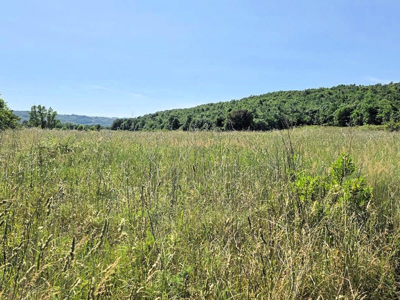 Attività commerciale in Vendita a Massa Marittima, 220'000€, 210000 m²