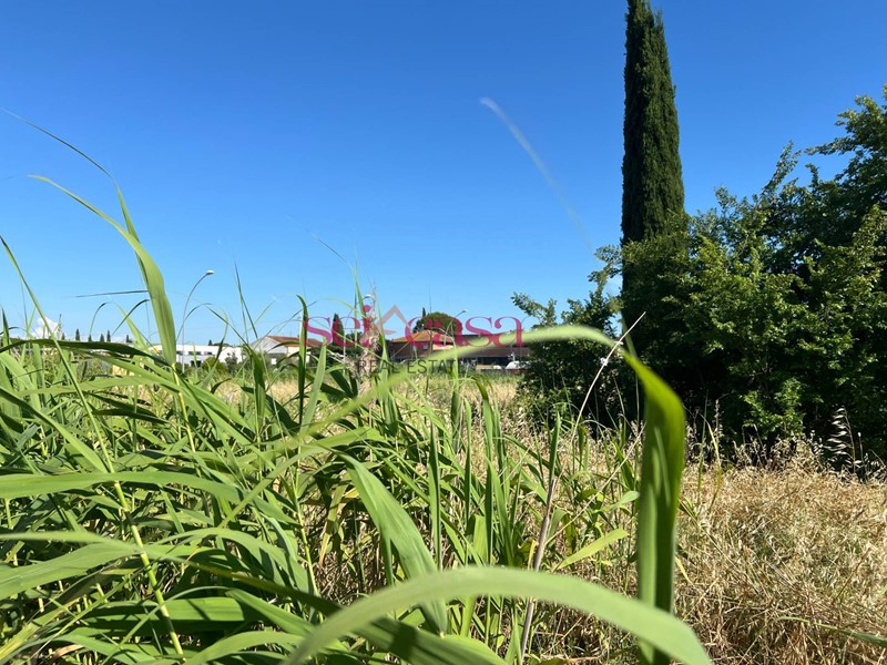 Terreno edificabile in Vendita a Grosseto, 400'000€, 1500 m²