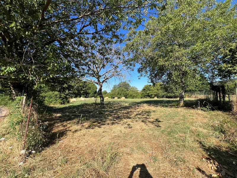 Terreno agricolo in Vendita a Fiuggi, 50'000€, 10000 m²