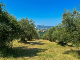 Casa Indipendente in Vendita a Maiolati Spontini, zona Maiolati Spontini, 329'000€, 699 m²