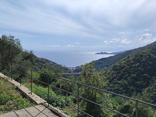 Casa Indipendente in Vendita a Zoagli, zona Semorile, 380'000€, 210 m²