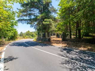 Casa Indipendente in Affitto a Linguaglossa, 2'450€, 180 m², con Box