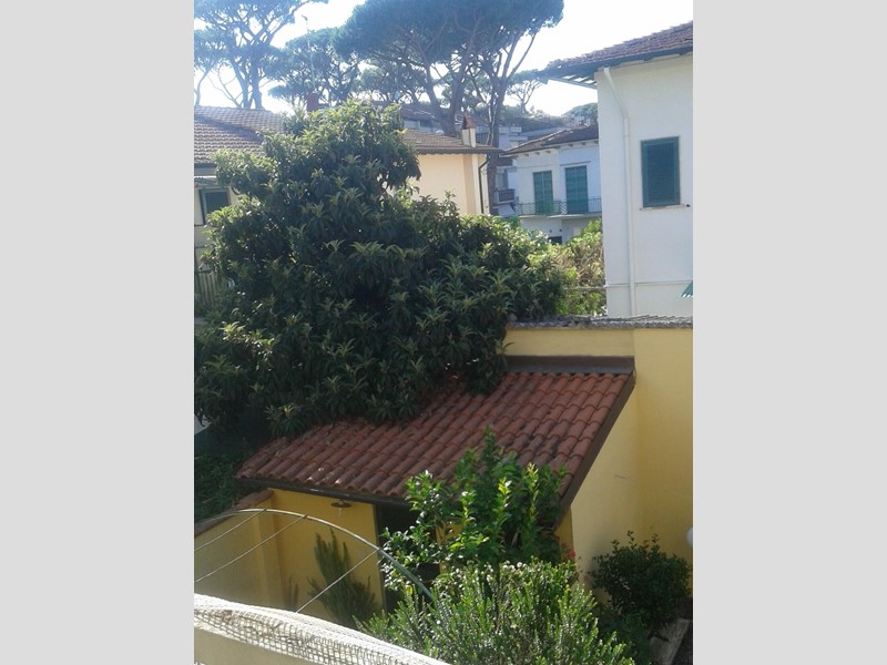 Trilocale in Vendita a Viareggio, 270'000€, 65 m²