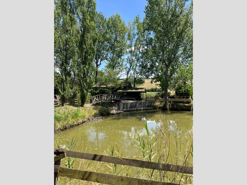 Terreno agricolo in Vendita a Vinci, 95'000€, 2000 m²