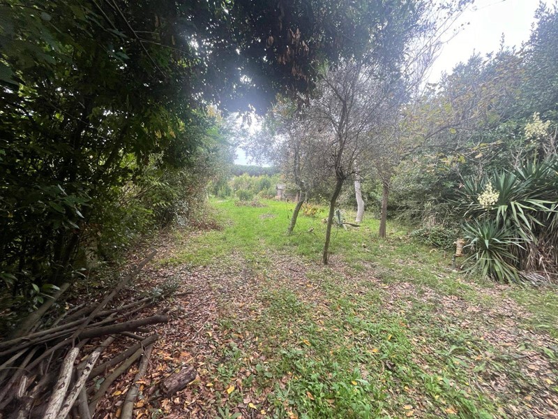 Terreno agricolo in Vendita a Pisa, 35'000&euro;, 2000 m²