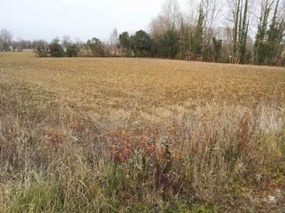 Terreno agricolo in Vendita a Brugnera, 50'000€, 9400 m²