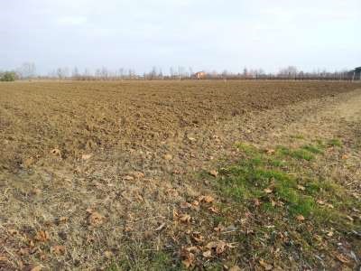 Terreno agricolo in Vendita a Sacile, 60'000€, 7290 m²
