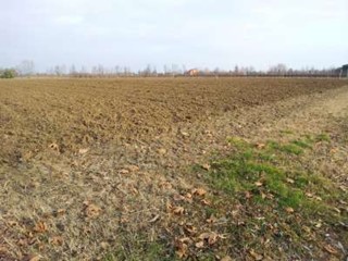 Terreno agricolo in Vendita a Sacile, 60'000€, 7290 m²