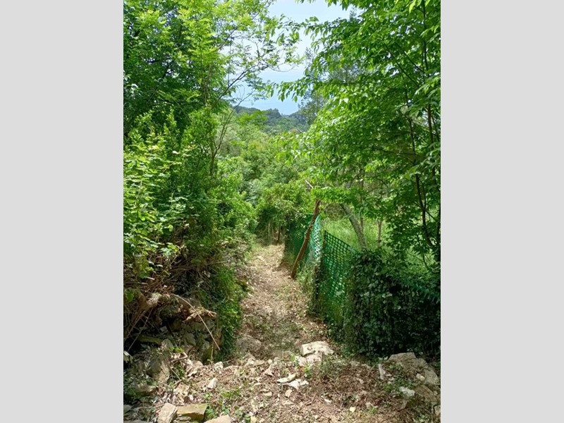 Terreno agricolo in Vendita a Recco, zona Carbonara, 15'000€, 2030 m²