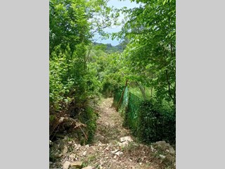 Terreno agricolo in Vendita a Recco, zona Carbonara, 15'000€, 2030 m²