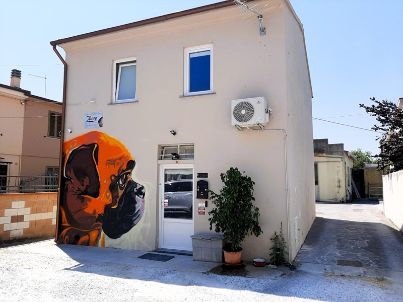 Casa Indipendente in Vendita a Cascina, zona San Prospero Navacchio, 99'000€, 47 m²