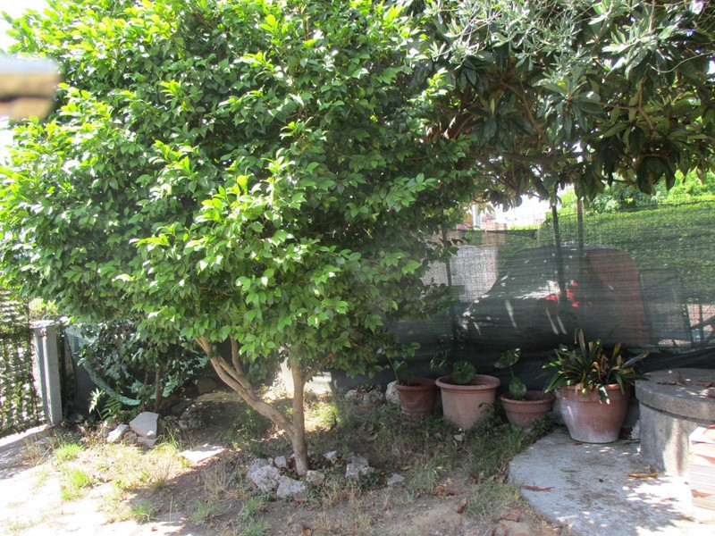 Casa Indipendente in Vendita a Bientina, 150'000€, 120 m²