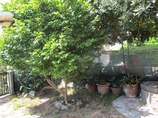 Casa Indipendente in Vendita a Bientina, 150'000€, 120 m²