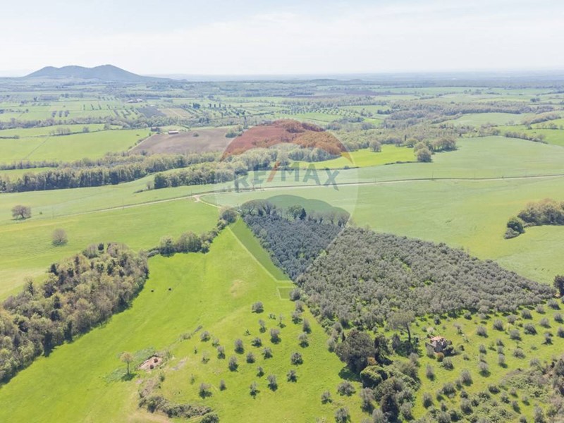 Terreno agricolo in Vendita a Ischia di Castro, 180'000€, 140000 m²