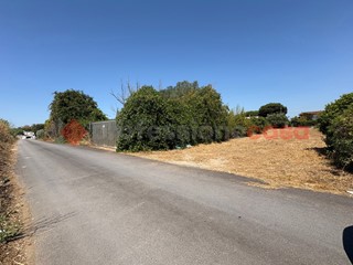 Terreno agricolo in Vendita a Terracina, 25'000€, 700 m²