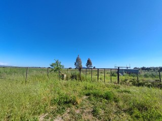 Terreno agricolo in Vendita a Grosseto, zona Pollino, 39'000€, 7000 m²