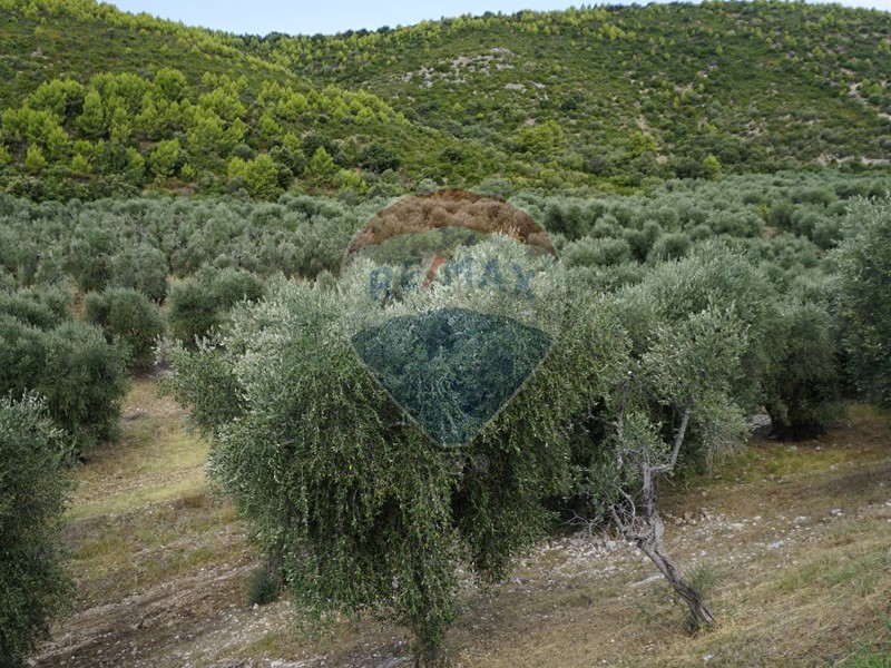 Terreno agricolo in Vendita a Vieste, 180'000€, 630000 m²