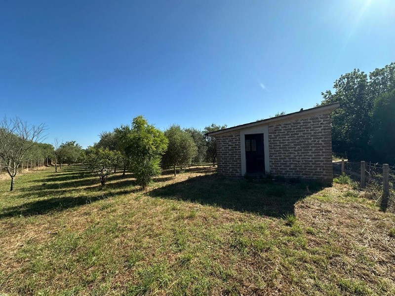 Terreno agricolo in Vendita a Nepi, 34'000&euro;, 2400 m²