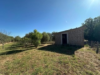 Terreno agricolo in Vendita a Nepi, 34'000&euro;, 2400 m²