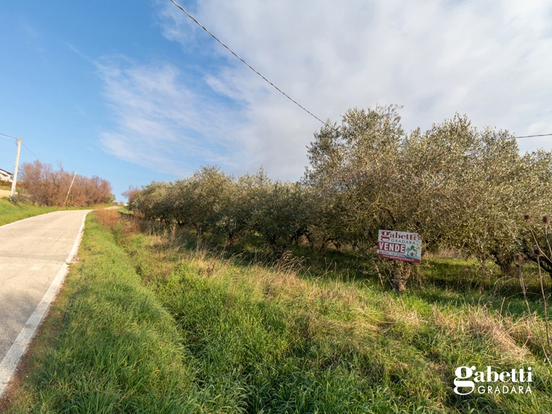 Terreno agricolo in Vendita a San Giovanni in Marignano, 55'000€, 7176 m²