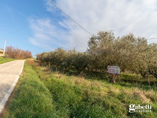 Terreno agricolo in Vendita a San Giovanni in Marignano, 55'000€, 7176 m²