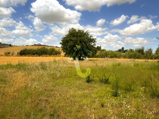 Casa Indipendente in Vendita a Monte Roberto, zona Pianello Vallesina, 95'000€, 285 m²