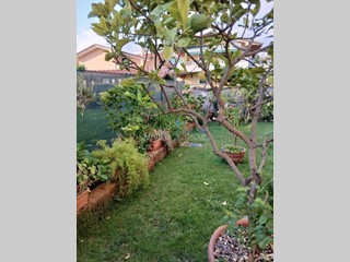 Casa Semi Indipendente in Vendita a Massa, 430'000&euro;, 150 m²