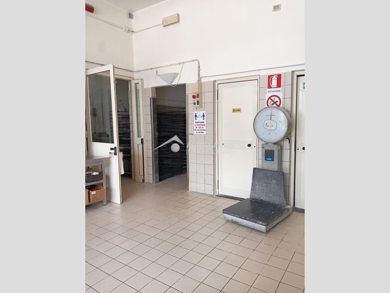 Laboratorio in Affitto a San Giuliano Terme, zona Mezzana, 2'200€, 215 m²