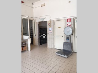 Laboratorio in Affitto a San Giuliano Terme, zona Mezzana, 2'200€, 215 m²