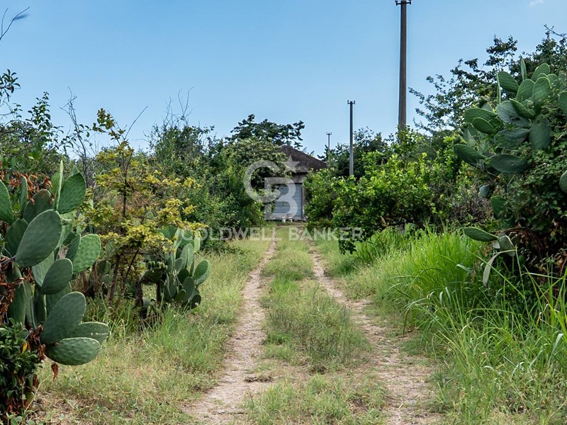 Terreno agricolo in Vendita a Giarre, 297'000€, 8000 m²