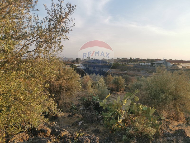 Terreno agricolo in Vendita a Misterbianco, 120'000€, 16000 m²