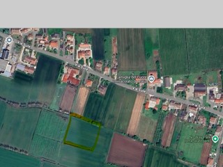 Terreno agricolo in Vendita a Cologna Veneta, 29'000€, 5725 m²