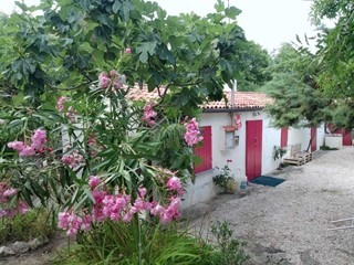 Casa Indipendente in Vendita a Sogliano al Rubicone, 85'000€, 55 m²