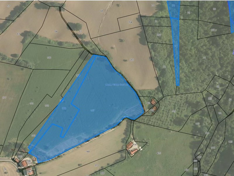 Terreno agricolo in Vendita a Monte Vidon Corrado, 45'000€, 38760 m²