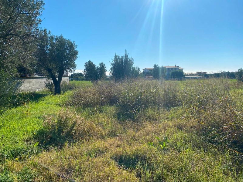 Terreno edificabile in Vendita a Sellia Marina, 60'000€, 1000 m²