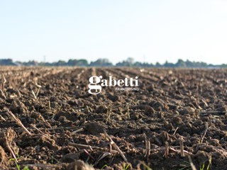 Terreno agricolo in Vendita a San Pietro Viminario, 72'000€, 14328 m²