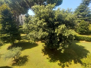 Quadrilocale in Vendita a Camaiore, zona Lido di Camaiore, 350'000&euro;, 100 m², arredato
