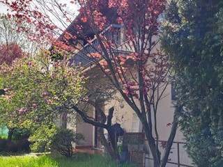 Casa Semi Indipendente in Vendita a Mornago, 129'000€, 180 m²