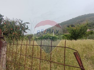 Terreno edificabile in Vendita a Santa Maria a Vico, 149'000€, 1342 m²