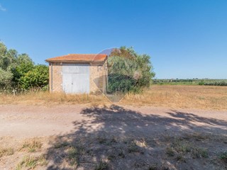 Terreno agricolo in Vendita a Canino, 65'000€, 25000 m²