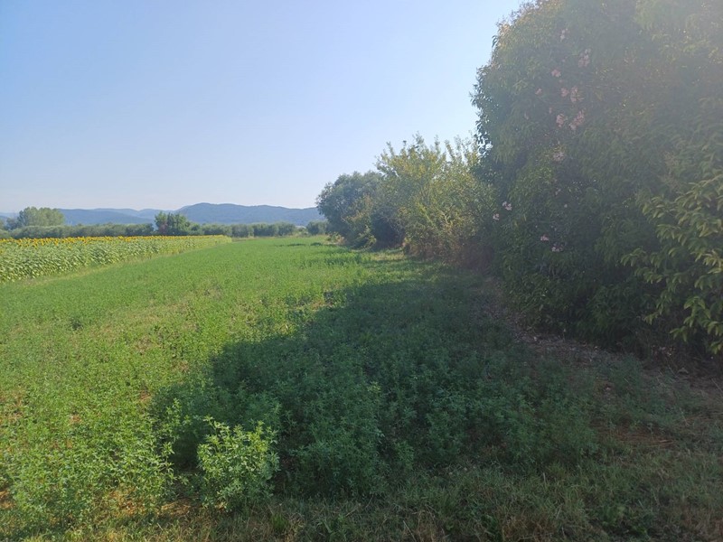 Terreno agricolo in Vendita a Vecchiano, 16'000€, 4000 m²