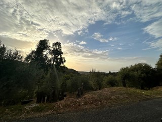 Terreno agricolo in Vendita a Barcellona Pozzo di Gotto, 9'000€, 2700 m²