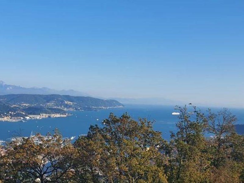 Villa bifamiliare in Vendita a La Spezia, zona Parodi, 749'000&euro;, 544 m²