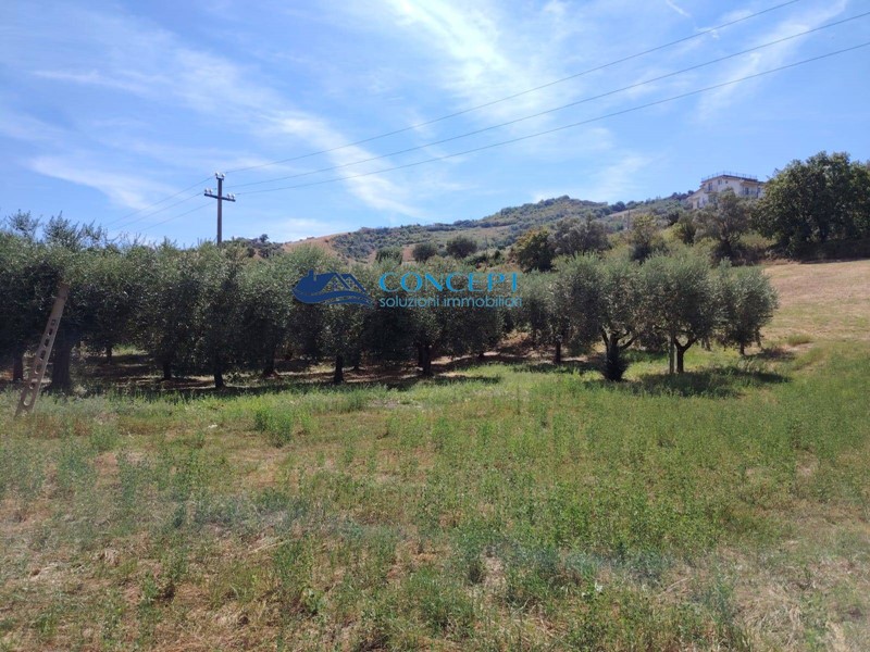 Terreno edificabile in Vendita a Colonnella, 53'000€, 1000 m²